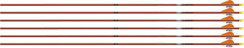 EASTON ARROW FMJ 5MM 340 W/ 2" - BULLY VANES 6-PACK AUTUMN ORG