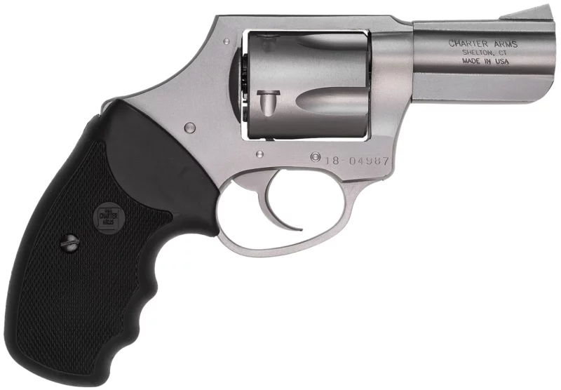 Charter Arms 74421 Bulldog Large 44 Special, 5 Shot 2.50" Matte Stainless Steel Barrel, Cylinder & Frame w/Black Finger Grooved Rubber Grip