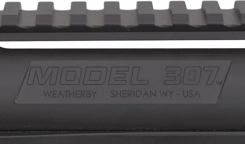 WEATHERBY 307 ALPINE MDT - CARBON 243 WIN CF 24" CHASSIS - Image 3