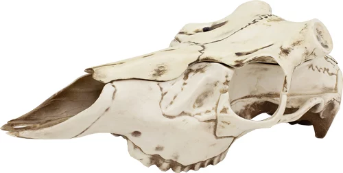 MOUNTAIN MIKE'S NATURAL CAUSES - SKULL MASTER MEDIUM