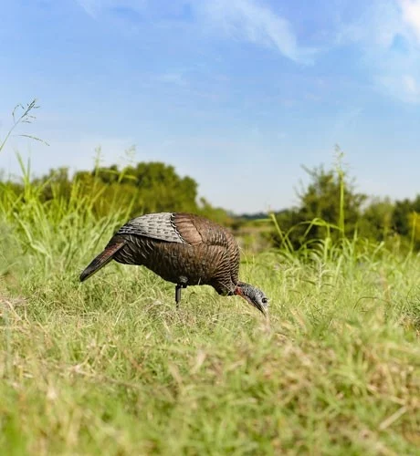 FLEXTONE THUNDER CHICK FEEDING - HEN DECOY W/STAKE - Image 2