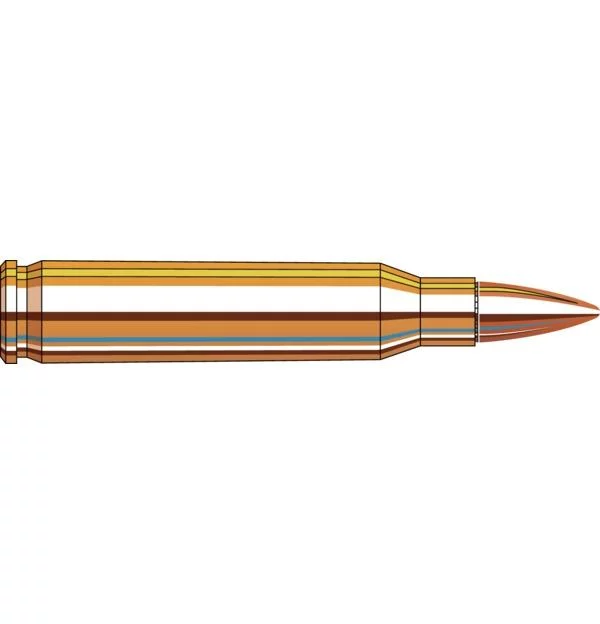 FRONTIER .223 REM 55 GR FMJ (50 RD ORIENTED) Ammunition