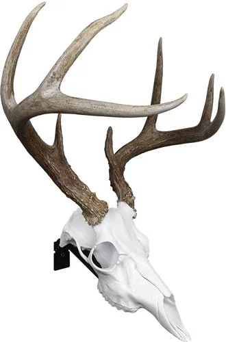 MOUNTAIN MIKE'S DEER SKULL - POSITIONER - Image 2