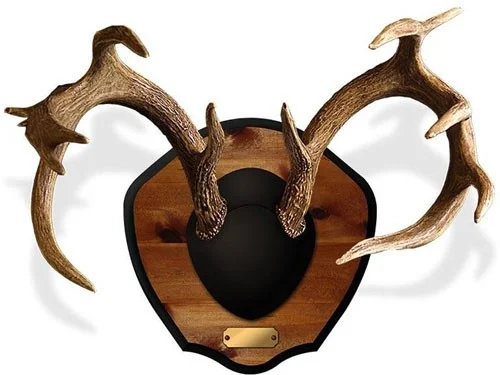 MOUNTAIN MIKE'S DEER ANTLER - PLAQUE MASTER CLASSIC KIT - Image 2