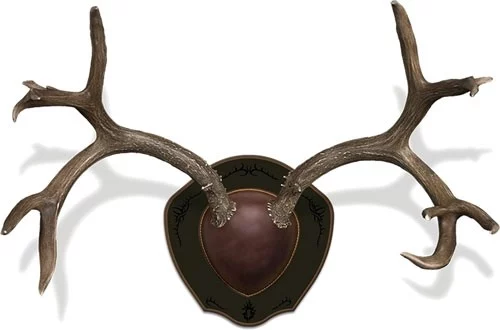 MOUNTAIN MIKE'S DEER ANTLER - RACK PLAQUE W/SHED SPREADER - Image 2