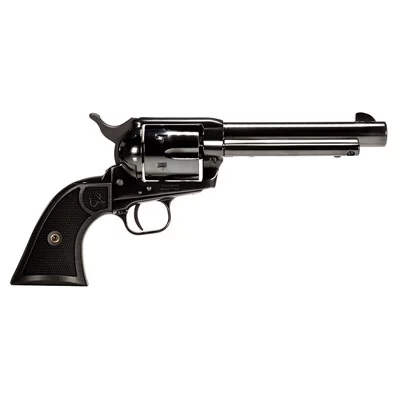 DEPUTY 45 COLT 5.5'' BBL 6 ROUND STAINLESS